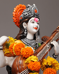 Sarasvati Puja<br/>(सरस्वती पूजा)